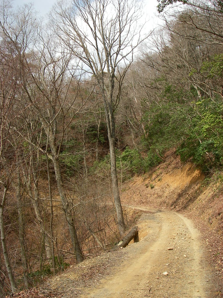 c0189724_22153819.jpg