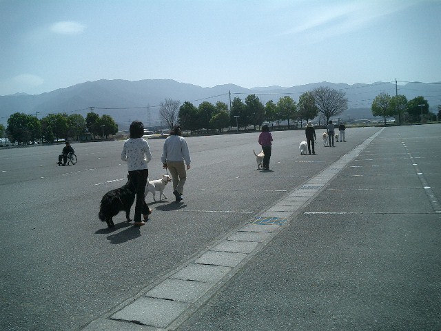 c0114833_9123290.jpg