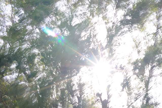 c0133133_1155533.jpg