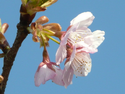d0140133_918751.jpg