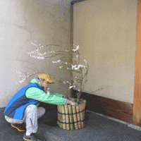 d0033734_1129989.gif