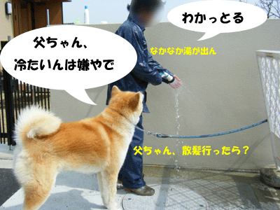f0008935_10294744.gif