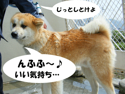f0008935_10312552.gif
