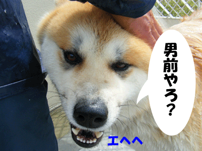 f0008935_1032516.gif