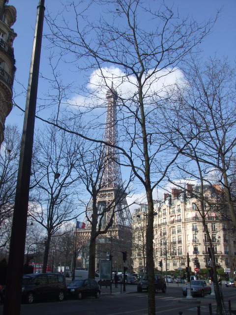 c0181947_529482.jpg
