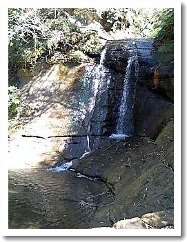 c0180949_9592767.jpg