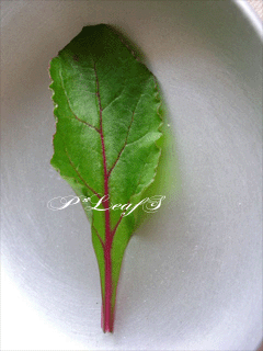 c0176651_2305831.gif