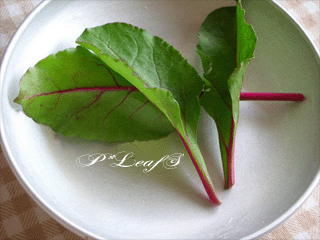 c0176651_232778.gif