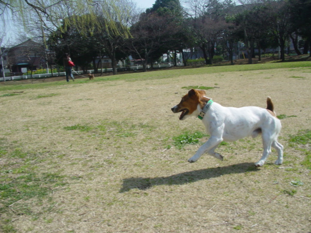 d0143957_1194945.jpg