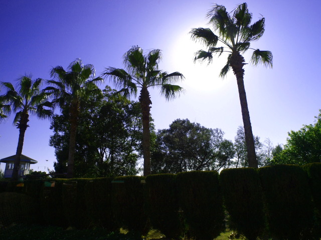 c0186760_23285716.jpg