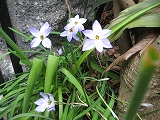 a0093965_11472461.jpg