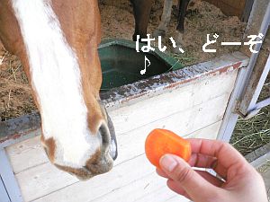 f0196665_0181153.jpg