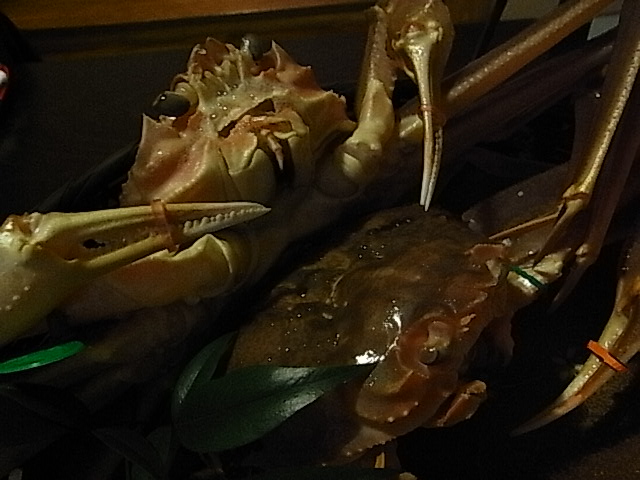 b0068067_13463124.jpg