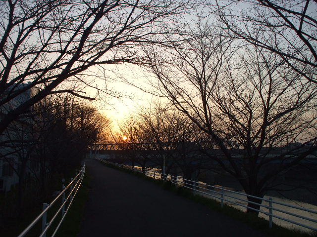 c0138868_2081019.jpg
