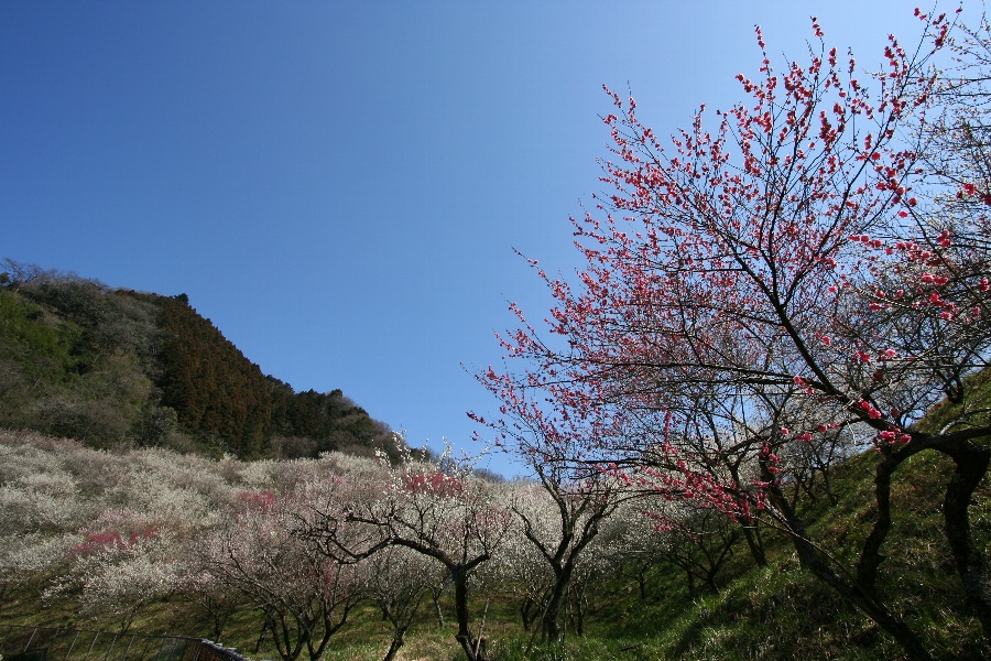 b0084270_20345572.jpg