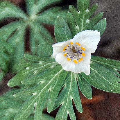 f0198771_04015.jpg