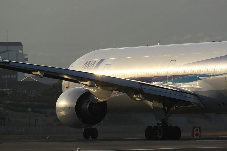 a0117972_17425344.jpg