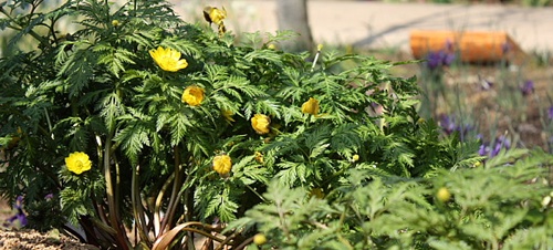 a0079880_22253599.jpg