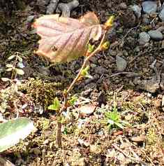 a0091680_21252585.jpg