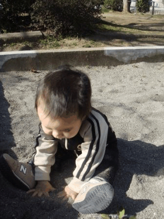 b0139380_0514247.gif