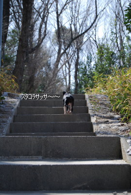 c0092787_7413924.jpg