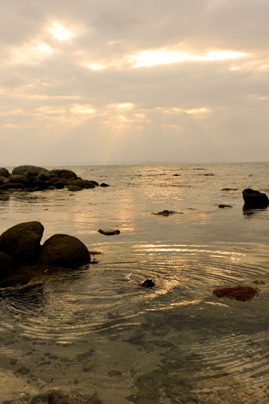 f0112087_16391055.jpg