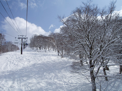 b0099190_10331433.jpg