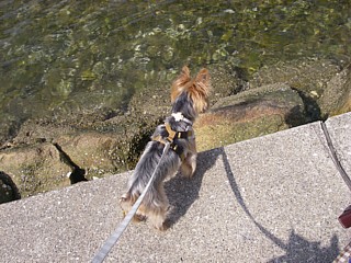 c0191390_17475069.jpg