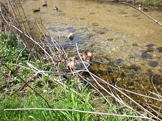 c0191390_1811312.jpg