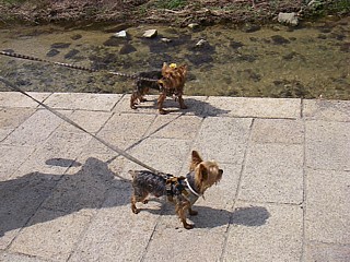 c0191390_18193638.jpg
