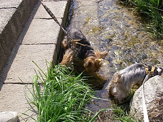 c0191390_1864743.jpg