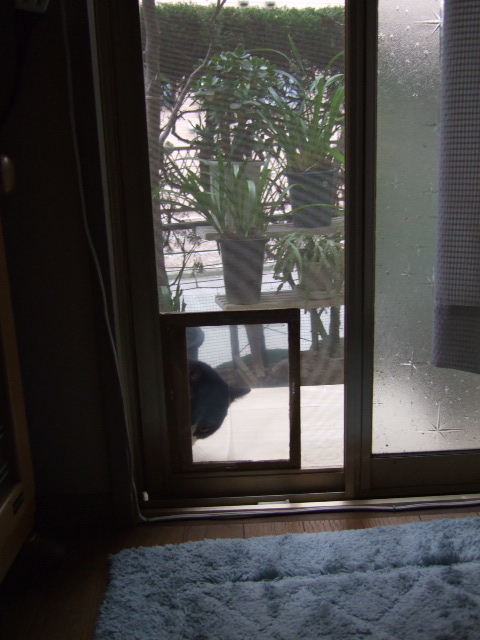 c0150193_22461729.jpg
