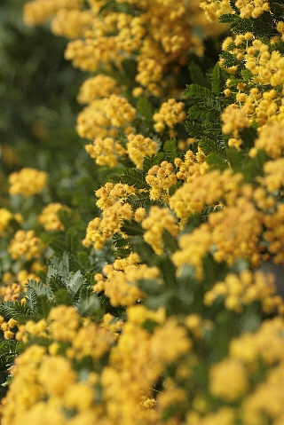 d0133693_22321178.jpg
