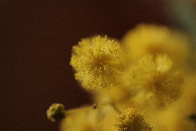 d0133693_22331216.jpg