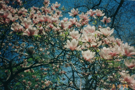 c0129498_1352455.jpg