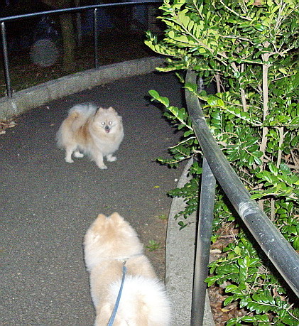 c0138198_22473514.jpg