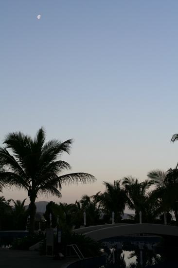d0112003_814478.jpg