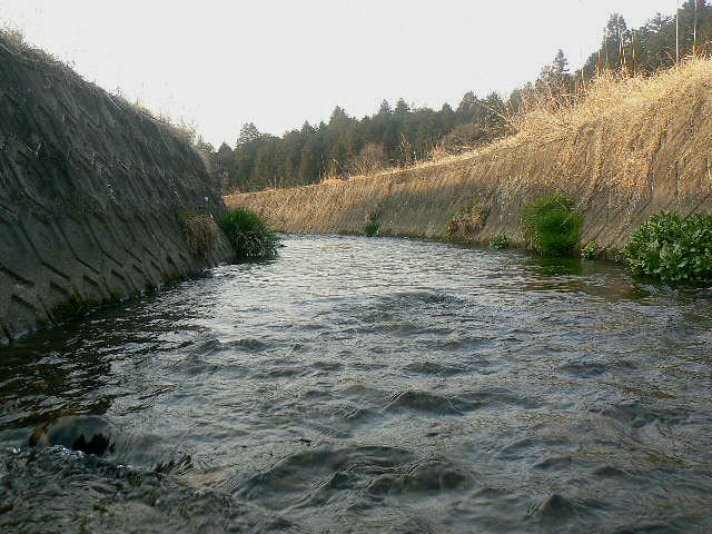 f0164503_23585434.jpg