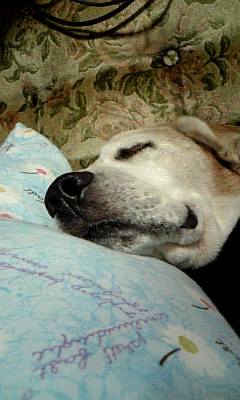 a0013905_0493137.jpg