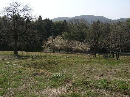 c0170905_7551243.jpg