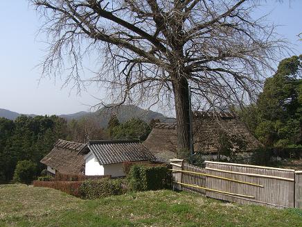 c0170905_863892.jpg
