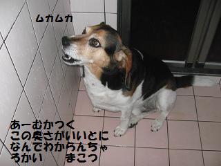 d0104209_21101510.jpg