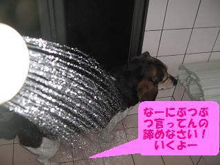 d0104209_2114381.jpg