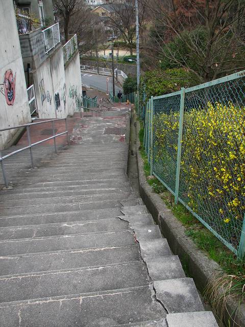 f0167310_8421521.jpg