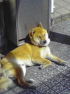 f0049813_0101058.jpg