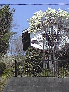 f0049813_010981.jpg