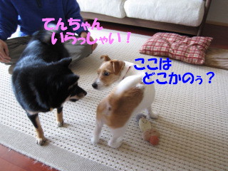 c0185516_10572384.jpg
