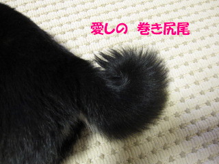 c0185516_11202849.jpg
