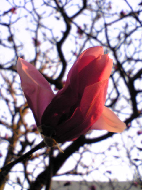 a0021421_1234830.jpg