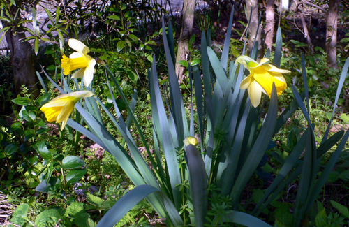 f0060424_194126.jpg